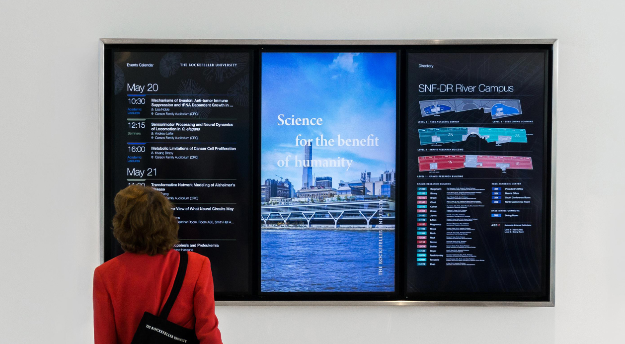 Player Digital Signage BrightSign XC2055